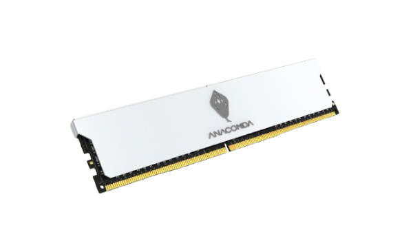 【ANACONDA】KingSnake DDR5 桌上型超頻記憶體 32GB(16GB*2) 6400 商品圖